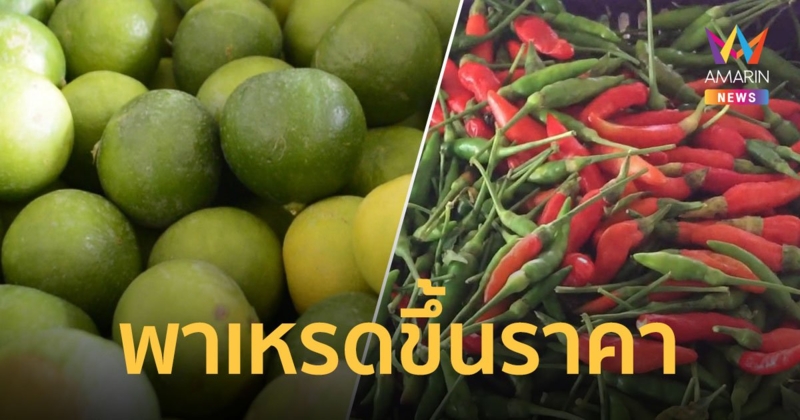 สายกินรสจัดกระอัก! มะนาว-พริกขี้หนูสวน เริ่มขยับราคา คาดตรุษจีนแพงขึ้นอีก