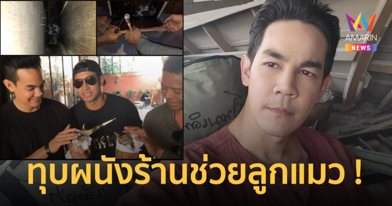 โซเชียลเผยคลิป "กิก ดนัย" ยอมทุบผนังร้าน ช่วยชีวิตลูกแมว