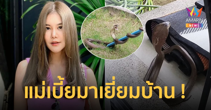 "ก้อย รัชวิน" งูเห่าเข้าบ้าน คอหวยแห่ถามเลขที่บ้านสนั่น !