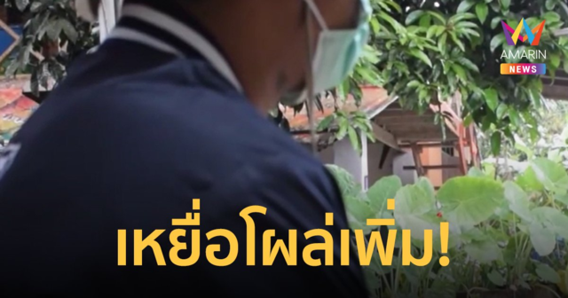 เหยื่อโผล่อีก! 