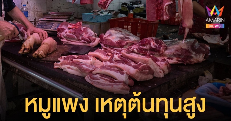 หมูแพง สมาคมผู้เลี้ยงสุกรฯเผยเหตุต้นทุนสูง พาณิชย์บุรีรัมย์ ชี้ ราคาปกติ กก.ละ 130-150 บาท