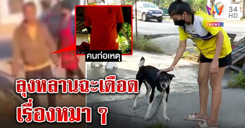 สาวโวยลุงพังบ้านอ้างหมากัดคน ที่แท้หวังฮุบสมบัติ เจ้าตัวแฉกลับแม่เด็กผีพนัน (คลิป)