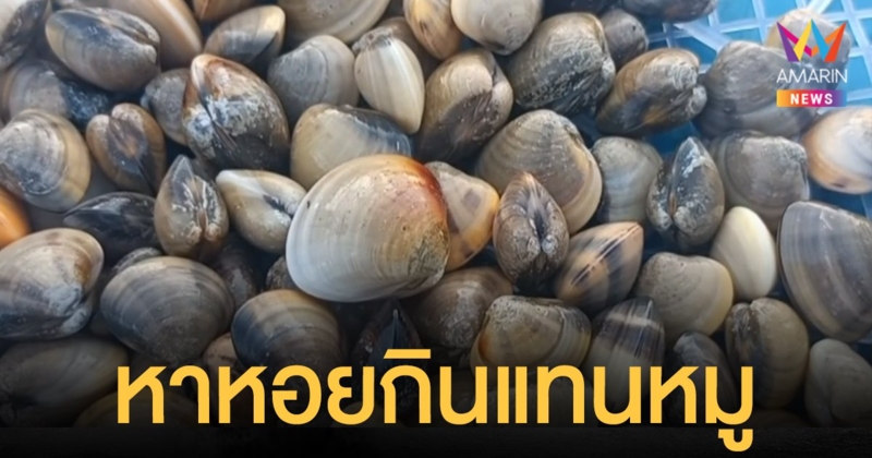 ชาวบ้านแห่หา หอย ในลำคลองทำกับข้าวหลังหมูและไข่แพง