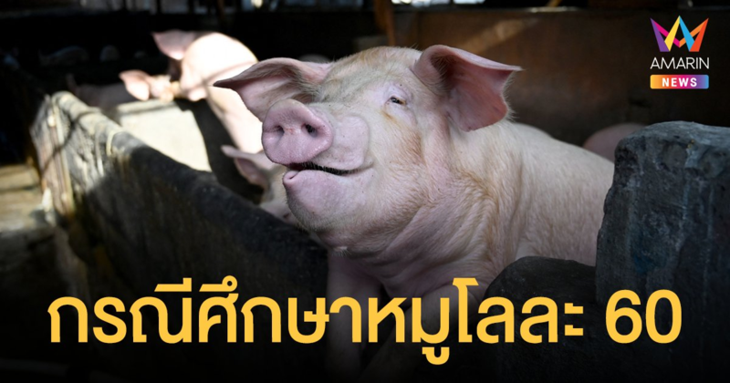 ทำความรู้จัก เกษตรพันธสัญญา จากดราม่าฟาร์มหมูโลละ 60 บาท มีข้อดี - ข้อเสีย อย่างไร?