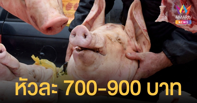 หมูแพง รับตรุษจีน หัวหมูราคาพุ่ง 700-900 บาท หมูสามชั้นแพงสุดในรอบ 60 ปี