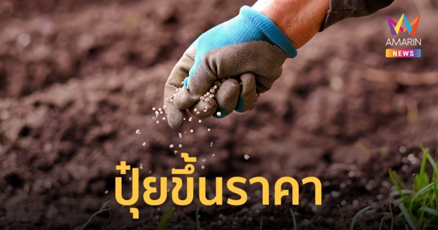 สงครามรัสเซีย ยูเครน กระทบทำพาณิชย์-เกษตรไฟเขียว ปุ๋ย เคมีขึ้นราคา