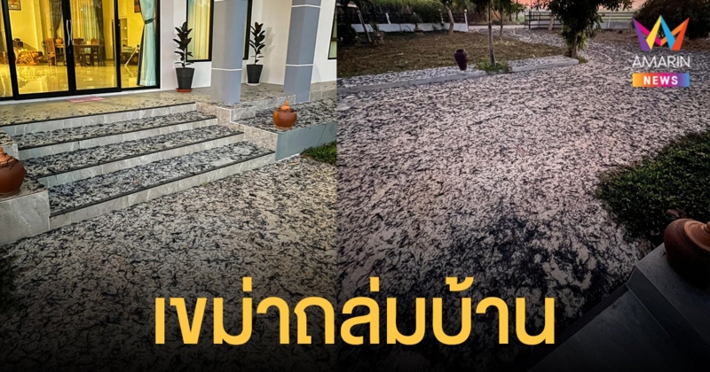 หนุ่มขอนแก่น เซ็ง! เขม่าเผา อ้อย ตกทั่วบ้าน อย่างกับหิมะดำ โอดปีละครั้ง อดเอา