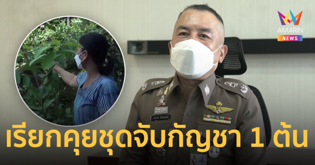 ผบช.ภ.4 เรียกคุย ตำรวจชุดจับ กัญชา 1 ต้น กำชับทุกโรงพักใช้วิจารณญาณ-ดูเจตนา
