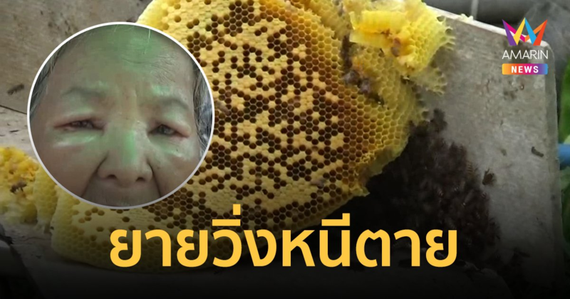 ยายวัย 76 หวิดดับ ถูก ผึ้งโพรง รุมต่อย วิ่งหนีตายรอบบ้าน