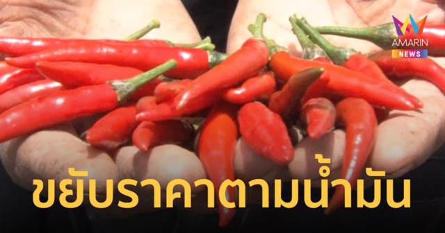 คนกินเผ็ดกุมขมับ พริกหน้าสวนบวกอีก 10 บาท ปรับตัวตามราคาน้ำมันที่สูงขึ้น