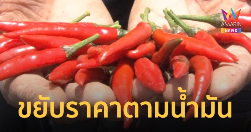 คนกินเผ็ดกุมขมับ พริกหน้าสวนบวกอีก 10 บาท ปรับตัวตามราคาน้ำมันที่สูงขึ้น
