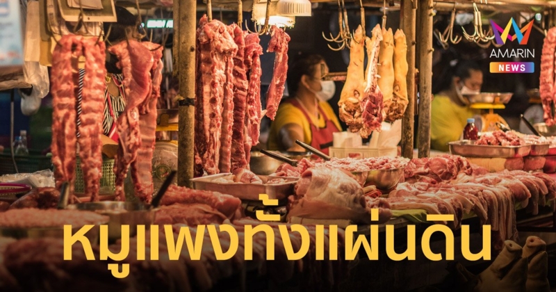 หมูแพงทั้งแผ่นดิน ทั่วประเทศปรับราคาขึ้น กก.ละ 200 บาท สูงสุดในปีนี้