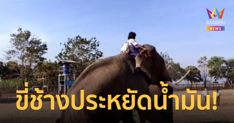 น้ำมันแพง! หนูน้อยวัย 11 ขวบ ขี่ช้างไปโรงเรียนแทบทุกวัน