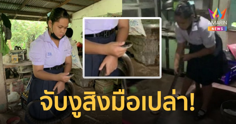 กู้ภัยวัยใส! จับงูสิง 2 เมตรมือเปล่า เผยเคยจับมาแล้วทั้งมีพิษ–ไม่มีพิษ