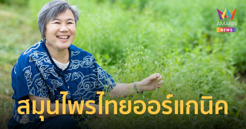 เปิดตัว "ฉมา" แบรนด์สมุนไพรไทยออร์แกนิค new s-curve อนาคต