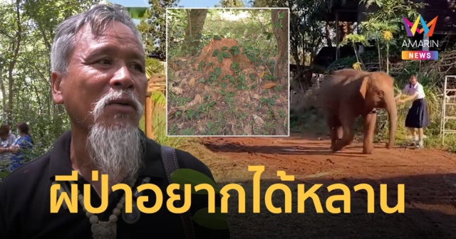 ตาเชื่อผีป่าอยากได้ 