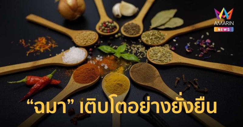 ฉมา เผย 3 ความท้าทายธุรกิจสมุนไพรไทย สู่การปั้นแบรนด์ให้เติบโตอย่างยั่งยืน