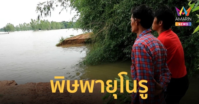 พายุโนรู ทำมหาสารคามฝนตกทั้งวัน พนังกั้นแม่น้ำชีขาดท่วมไร่นานับพันไร่
