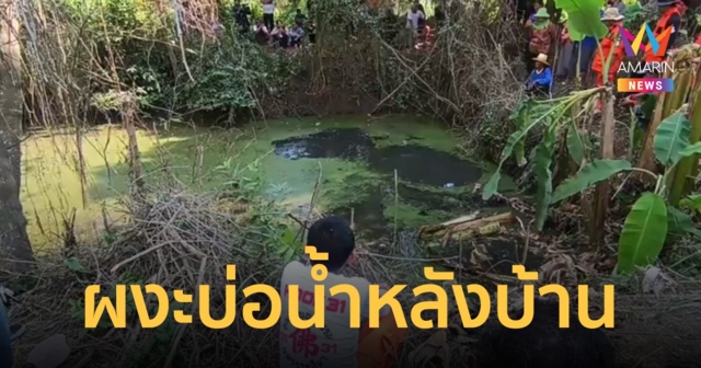 คาดเป็น 