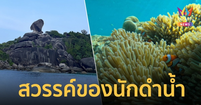 เช็กอิน หมู่เกาะสุรินทร์-สิมิลัน ทะเลอันดามัน สวรรค์ของนักดำน้ำทั่วโลก
