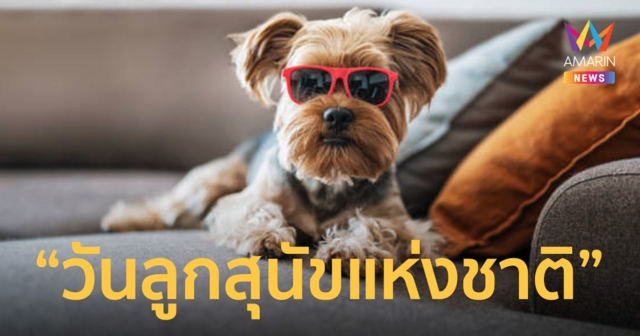 รู้ยัง? วันนี้วันสำคัญของ “ทาสหมา” 23 มีนาคม “วันลูกสุนัขแห่งชาติ”