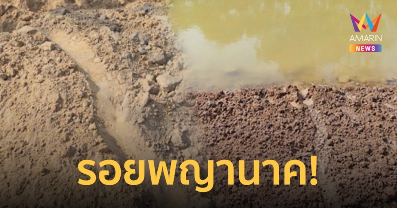 ประหลาดใจ! ชาวบ้านเจอรอยปริศนาเลื้อยลงน้ำ เชื่อเป็นรอยพญานาค มาให้โชค