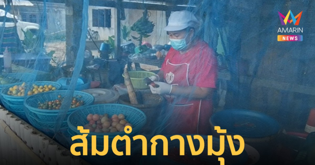 ไอเดียบรรเจิด! ร้านส้มตำกางมุ้ง หมดปัญหาแมลงวันกวนใจ