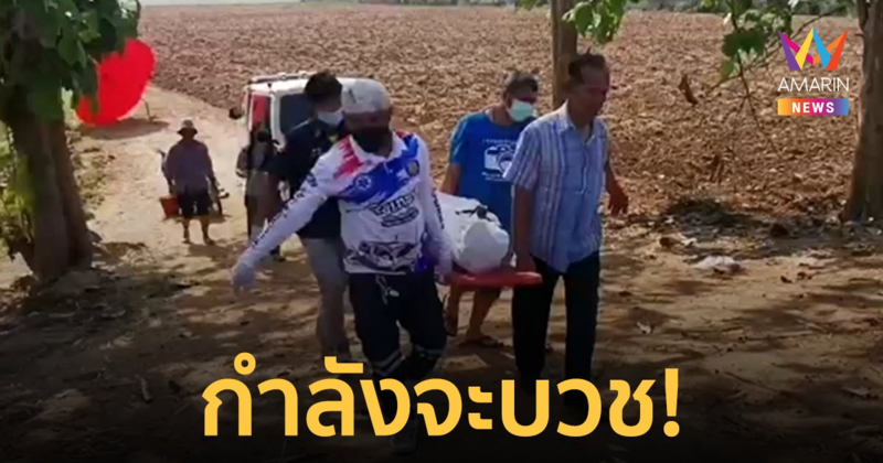 ไม่ทันได้บวช! หนุ่มใหญ่เตรียมบวชพระ ดับสลดกลางไร่อ้อย