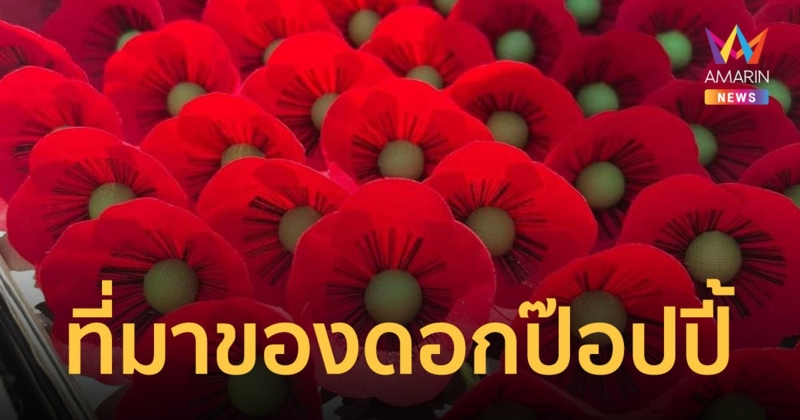 เปิดความหมาย "ดอกป๊อปปี้" สัญลักษณ์สำคัญของ วันทหารผ่านศึก