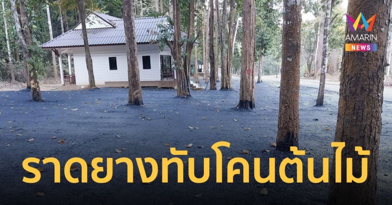 โซเชียลกระหน่ำ เขตรักษาพันธุ์สัตว์ป่าเชียงดาว ราดยางมะตอยทับโคนต้นไม้ ชุ่ยหรือเจตนา?