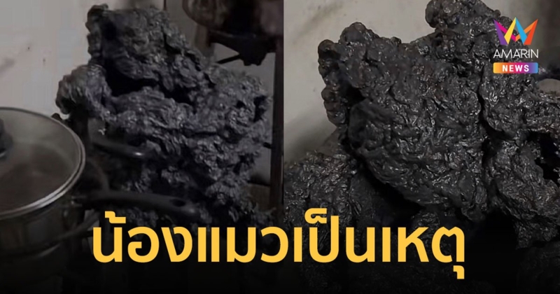 แทบช็อก เล่นกับแมวเพลินเผลอลืมน้ำเชื่อมที่ต้มไว้ในครัวจนหม้อละลายเละ