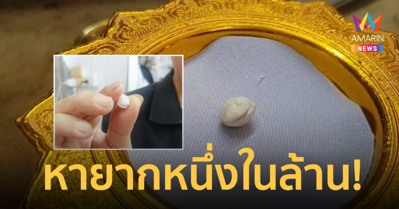 ฮือฮา! พบคดกุ้งหรือมุกกุ้งก้ามกรามในกว๊านพะเยา ให้โชคเจ้าของหลายงวด