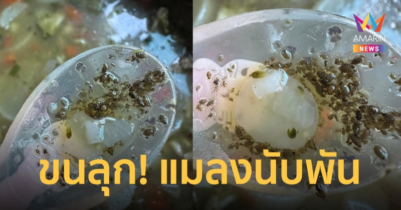 ขนลุก! แมลงโผล่ในแกงจืดนับพันตัว กับเมนู “บรอกโคลี”