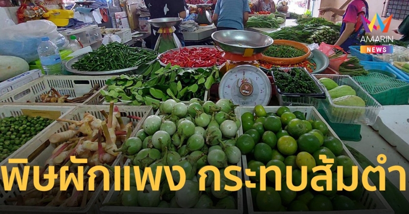 “แม่ค้าส้มตำ” โอดราคามะนาวขึ้นลูกละ 8 บาท ถั่วฝักยาวทะลุ 90 บาท