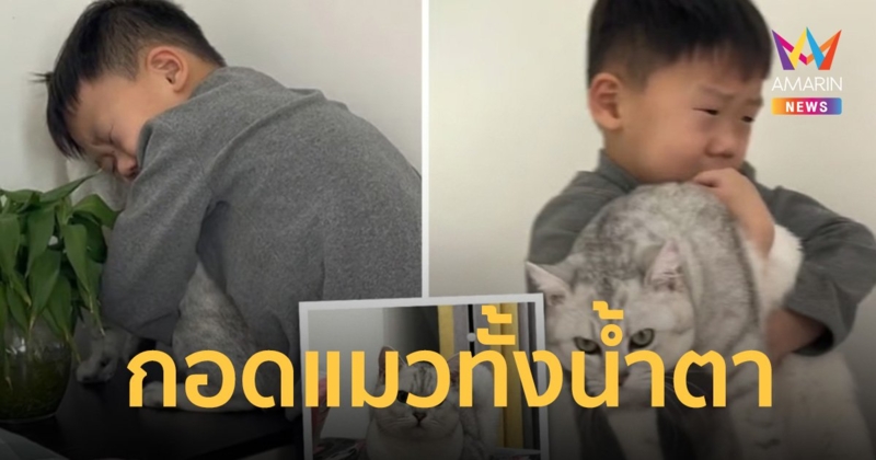 ปล่อยโฮ! เด็กชายกอดแมวเหมียวทั้งน้ำตา หลังพ่อจะเอาไปทิ้ง