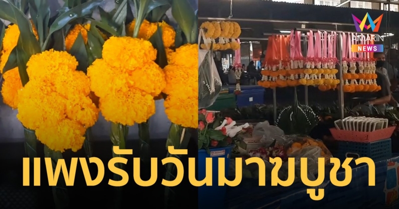 แพงรับ "วันมาฆบูชา" กล้วยไม้ราคาพุ่งเป็นเท่าตัว