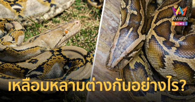 คลายข้อสงสัย 
