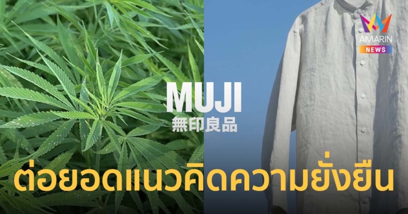 MUJI ต่อยอดแนวคิดความยั่งยืน สู่สินค้าแฟชั่นชูวัสดุเส้นใยกัญชงสำหรับเสื้อผ้า