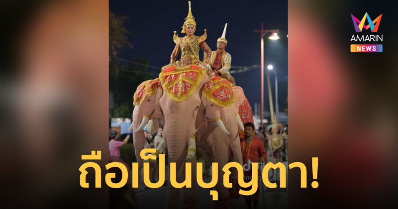 เป็นบุญตาที่ได้เห็น! ช้างเอราวัณเผือก 3 เศียร ชาวเน็ตแซวทำเอาช็อตฟีล