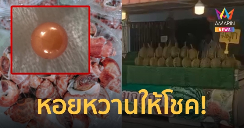 แม่ค้าทุเรียนดวงเฮง กินหอยหวานเจอ "ไข่มุกเมโล" ลั่นใครอยากได้จะขายเลย