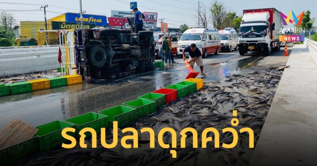 รถบรรทุกปลาดุก ยางแตกพลิกคว่ำกลางถนน ปลาดุก 3 ตัน หล่นกระจายเต็มถนน