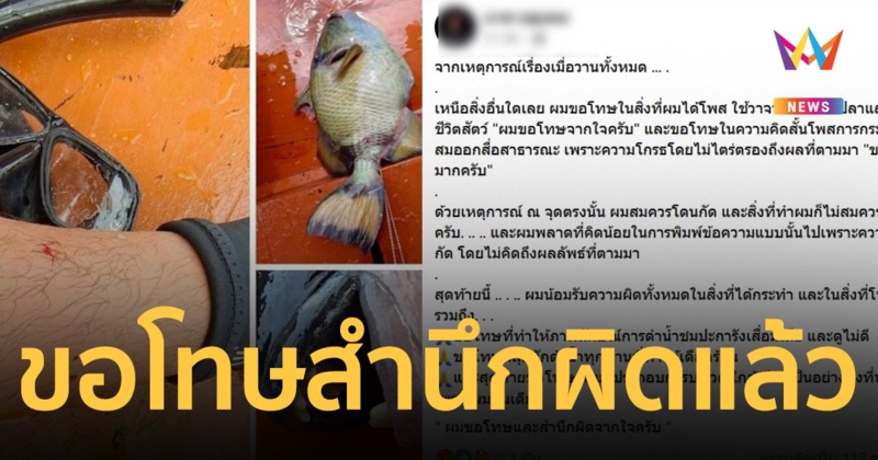หนุ่มนักดำน้ำ ขอโทษแล้วหลังทัวร์ลงยับฆ่า "ปลาวัวไททัน" ล้างแค้นถูกกัด