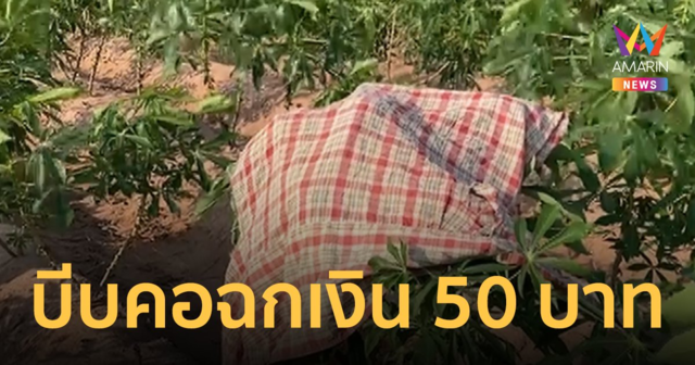 ยายถูกคนร้ายมัดมือ มัดขา บีบคอ ฉกเงิน 50 บาท กลางไร่มันสำปะหลัง