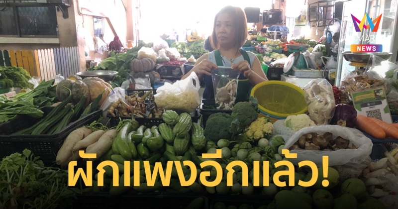 พายุฤดูร้อนถล่มพื้นที่เพาะปลูก ทำราคาผักภาคใต้แพงกระฉูด ต้นหอมพุ่งโลละ 180 บาท