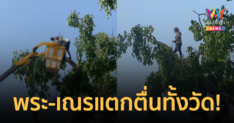 พระ-เณรแตกตื่นทั้งวัด! หลังสาวปริศนาถือเชือกโผล่ปีนต้นโพธิ์