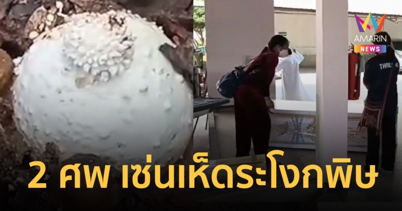 ชาวบ้านไม่รู้เป็น "เห็ดระโงกพิษ" นำมาทำกับข้าวกิน ตาย 2 โคม่า 2