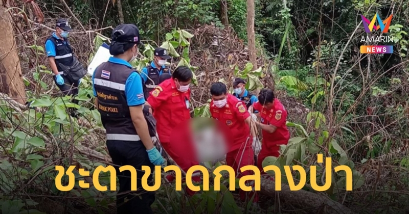 หนุ่มใหญ่ดวงซวยออกหาเห็ดเผาะ หลบร้อนใต้ต้นไม้ใหญ่ ถูกล้มทับดับสลด