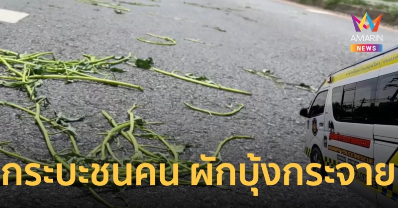 ​​​​สลด ลุงข้ามถนนเก็บผักบุ้ง ถูกกระบะชนเสียชีวิต