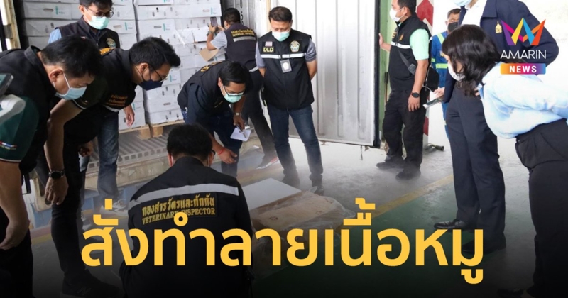 กรมศุลกากรอนุมัติทำลายหมูเถื่อน 159 ตู้ น้ำหนักรวม 4.3 ล้านกิโลกรัม หวั่นแพร่โรคระบาด