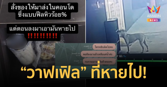 มหากาพย์! ตามล่าหาวาฟเฟิลที่หายไป เมื่อรู้ตัวหัวขโมยถึงกับช็อตฟีล